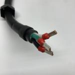 Smart Solar EV Charger with Heavy Duty Cord