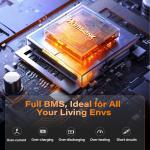 12V 100Ah Bluetooth Lithium Battery for RVs