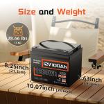 12V 100Ah Bluetooth Lithium Battery for RVs