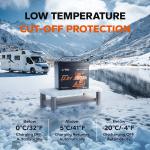 LiTime 12V 100Ah LiFePO4 Lithium Battery for RV