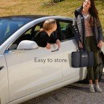 Lectron Level 1 Portable Tesla Charger - 15 Amp