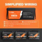 Litime 12V 300Ah LiFePO4 Lithium Battery for RVs