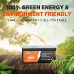 Litime 12V 300Ah LiFePO4 Lithium Battery for RVs