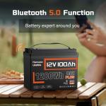 Humsienk 12V 100Ah Bluetooth Lithium Battery