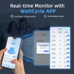 12V 314Ah Lithium Battery for Golf Carts