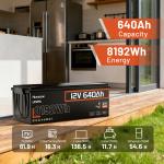 640Ah 12V LiFePO4 Battery for RV Solar