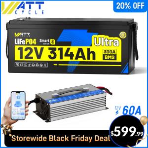 300Ah Lithium Battery with Charger for RVs