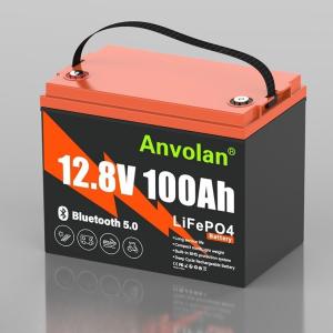 Bluetooth 12V 100Ah Mini LiFePO4 Lithium Battery