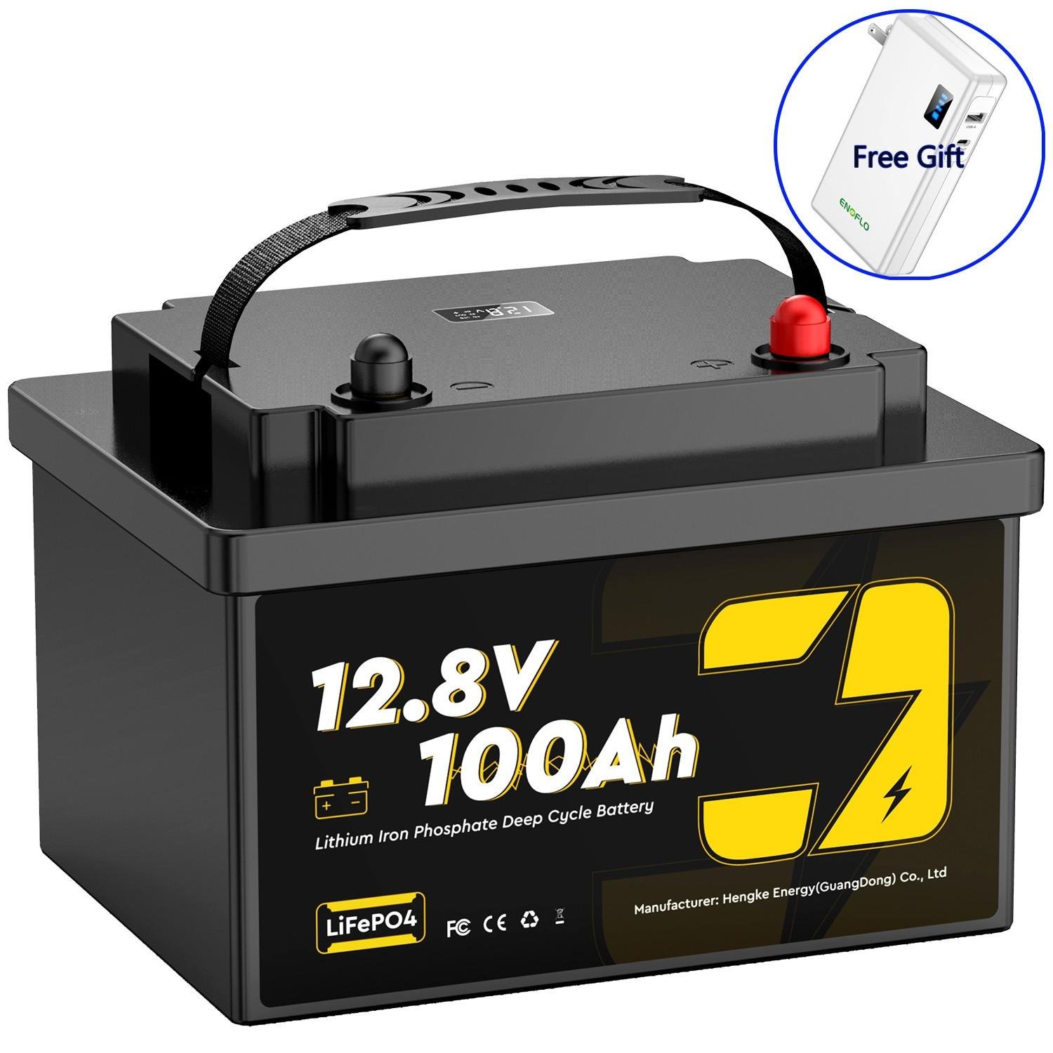 12V 100Ah LiFePO4 Battery for Home Energy