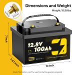 12V 100Ah LiFePO4 Battery for Home Energy