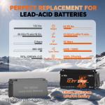 LiTime 12V 230Ah Bluetooth LiFePO4 Battery for RV