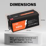 Litime 12V 300Ah LiFePO4 Battery for Solar