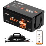 LiTime 48V 100Ah Lithium Battery Charger with Bluetooth