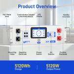 48V 100Ah LiFePO4 Battery with 15A Charger