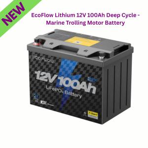 EcoFlow 12V 100Ah Solar Battery Power Station 1280Wh
