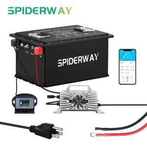 48V 105Ah Lithium Golf Cart Battery W/ 25A Chargerfor Advanced EV1 & Icon EV