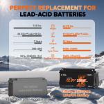 LiTime 12V 230Ah Bluetooth Low Temp LiFePO4 Battery