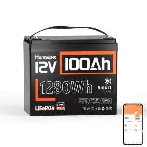 100Ah 12V LiFePO4 Lithium Battery with Bluetooth BMS