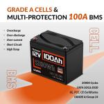 12V 100Ah Bluetooth Lithium Battery for RVs