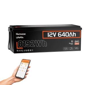 640Ah 12V LiFePO4 Battery for RV Solar