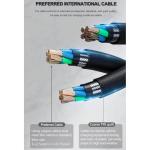 40KW DC Fast EV Charger for Indoor/Outdoor Use