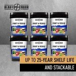 Ready Hour, Fruit & Veggie Mix, Non-Perishable Freeze-Dried Food, 30-Year Shelf Life, Portable Emergency and Adventure Food Supply, Durable Flood Safe Container, 56 Servings