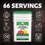 Freeze Dried Fruit & Vegetable Bucket | 12 Pouches Premium Emergency Food Supply | Non-GMO Survival Food 25 Year Shelf Life | Camping Food, Backpacking Meals, Prepper Supplies | Valley Food Storage