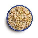 Mountain House Fettuccine Alfredo with Chicken #10 Can | Freeze Dried Survival & Emergency Food | 9 Servings