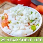 Nutristore Freeze Dried Onions | Premium Quality Vegetables for Long Term Storage or Recipes | Emergency Survival Canned Food Supply | Bulk #10 Can Veggies | 25 Year Shelf Life | 20 Servings