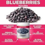 Nutristore Freeze Dried Blueberries | #10 Can Fruit | Perfect Healthy Snacks | Bulk Survival Emergency Food Storage Supply | Low Carb/Calorie Canned Camping/Backpacking Supplies | 25 Year Shelf Life