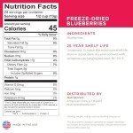 Nutristore Freeze Dried Blueberries | #10 Can Fruit | Perfect Healthy Snacks | Bulk Survival Emergency Food Storage Supply | Low Carb/Calorie Canned Camping/Backpacking Supplies | 25 Year Shelf Life