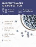 READYWISE - Simple Kitchen Freeze Dried Whole Blueberries, 28 Servings, Vegan, Gluten Free, Fruit Snacks, Emergency Supplies, Dehydrated Fruit, Blueberries