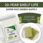 Emergency Food Ration Bars, Crops Flavor Survival Energy Bar Supply for Outdoor Camping Emergency Snowstorm Earthquake Disaster Preparedness Food with 20 Years Long Self Life, 120g/bar