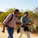 Biofreeze Pain Relief Patches, Knee & Lower Back Pain Relief Patch, Sore Muscle Relief, Neck Pain Relief, Shoulder Pain Relief, Pharmacist Recommended, FSA Eligible, 5 Biofreeze Menthol Patches