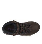 Columbia womens Newton Ridge Plus Waterproof Hiking Boot, Cordovan/Crown Jewel, 11 US