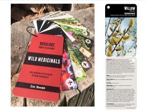 EDOG USA Bushlore Wild Medicinal & Plant Cards - 25 Pocket Size North America Field Guide Book Herbs Remedies Emergency Survival Disaster Preparedness Bushcraft Kit Backpack Camping Waterproof
