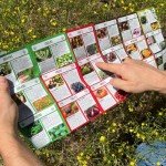 Foldable Forager: The Tiny Foraging Survival Guide for Emergency Disaster - Micro Survival Pocket Tool - Easily Fits in Wallet, Pocket, Survival Kit or Bug Out Bag