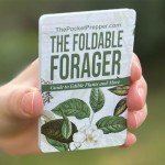Foldable Forager: The Tiny Foraging Survival Guide for Emergency Disaster - Micro Survival Pocket Tool - Easily Fits in Wallet, Pocket, Survival Kit or Bug Out Bag