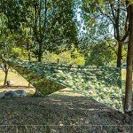 Camping Tent Tarp Waterproof, Multi-Function Tent Tarp Shelter 100 x 145 cm Hammock Rain Fly Shade Tarp 210T Printed Clot Heavy Duty Shade Sail Sun Canopy for Outdoor