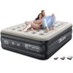 OhGeni Queen 18'' Raised Air Mattress with Pump