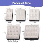 OhGeni Queen 18'' Raised Air Mattress with Pump