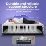 OhGeni Queen 18'' Raised Air Mattress with Pump