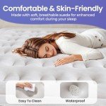 OhGeni Queen 18'' Raised Air Mattress with Pump