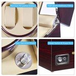 JQueen Dual Watch Winder with Japanese Motor