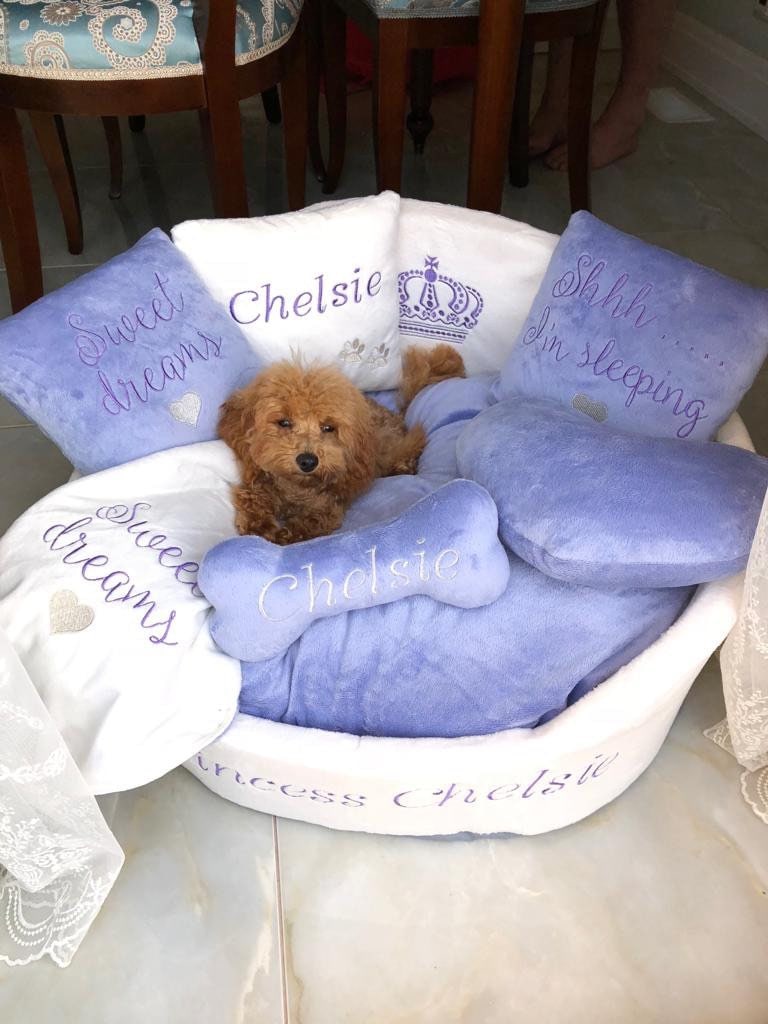Personalized Cream & Lavender Dog Bed