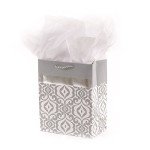Elegant Silver Gift Bag with Tissue for Couples
