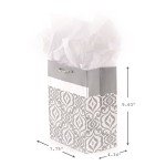 Elegant Silver Gift Bag with Tissue for Couples