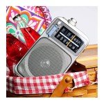 Panasonic Portable Battery Operated AM/FM Radio
