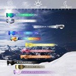 JULI Dual Lens Ski & Snowboard Goggles