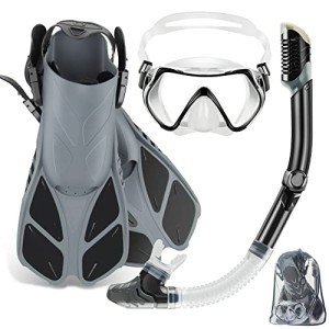 ZEEPORTE Adult Snorkel Set with Travel Bag